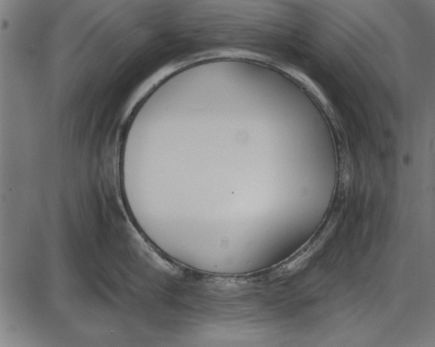 X0000086110910200704091415