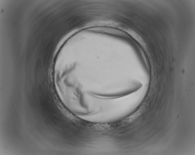 X0000086110912200704091415