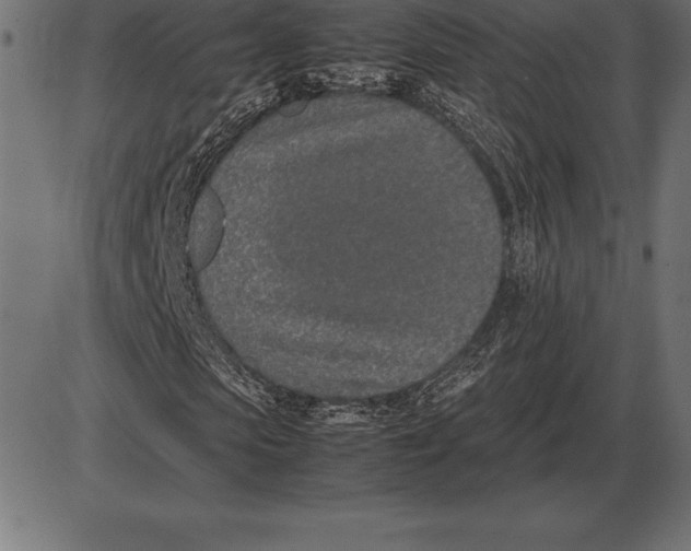 X0000086110913200704091414