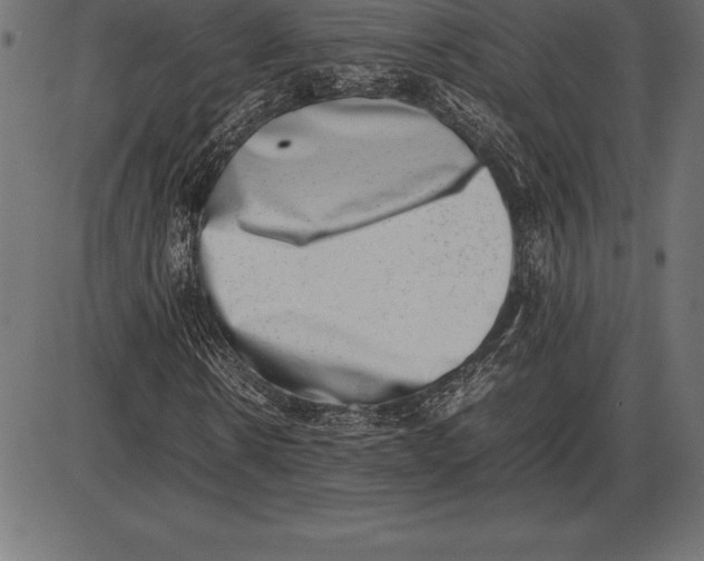 X0000086110914200704091414