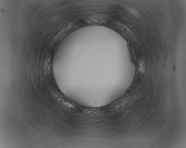 X0000086110915200704091414