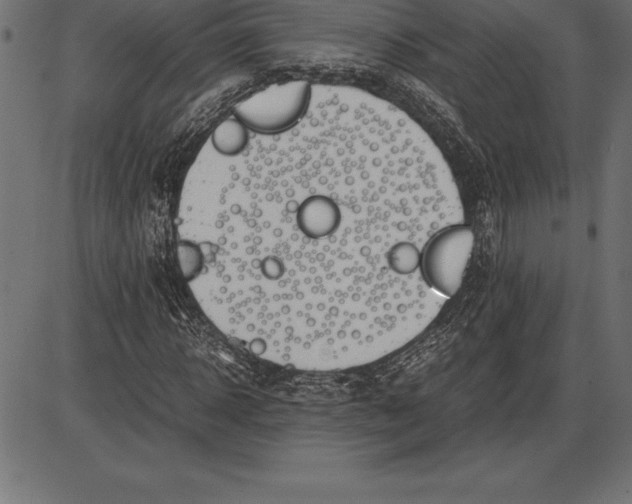 X0000086110918200704091414