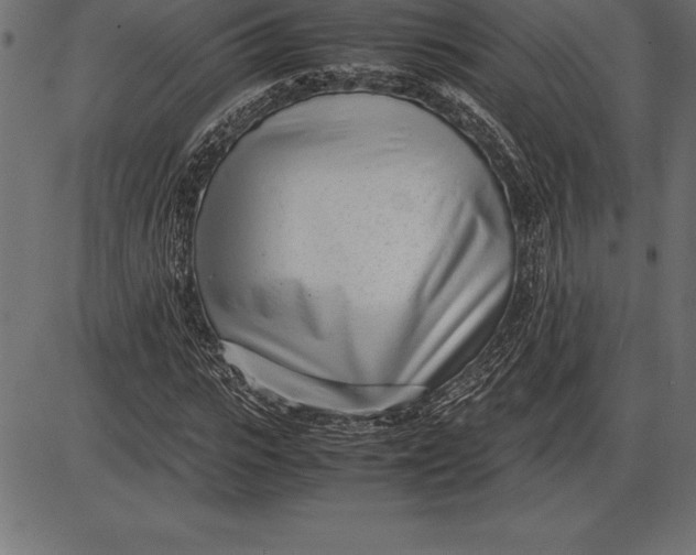 X0000086110919200704091414