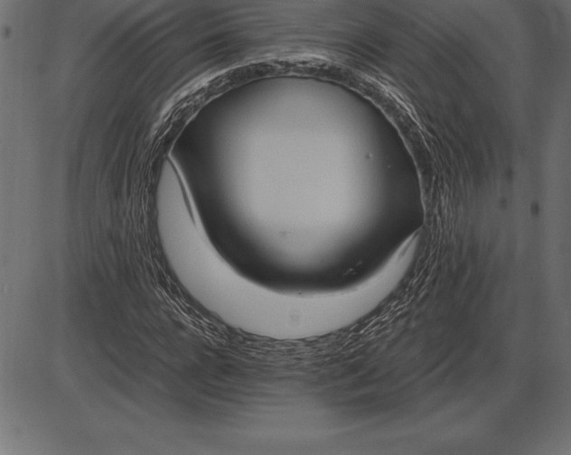 X0000086110920200704091414