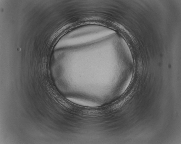 X0000086110921200704091414