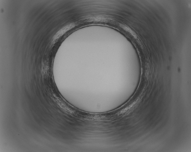 X0000086110922200704091414