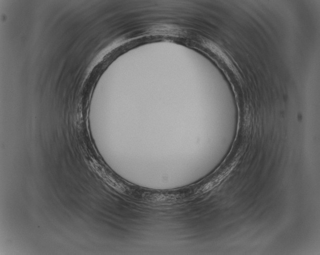 X0000086110923200704091414