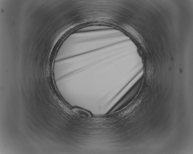 X0000086110924200704091414