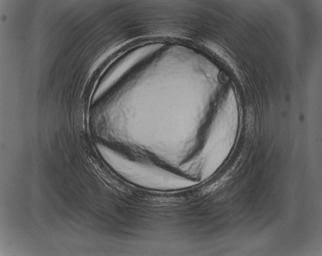 X0000086110925200704091414