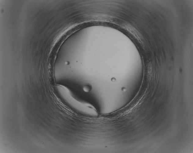 X0000086110926200704091414