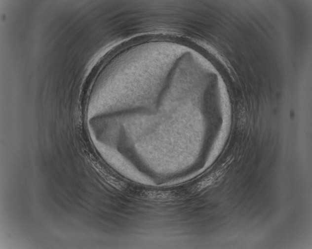 X0000086110927200704091414