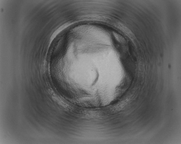 X0000086110928200704091414