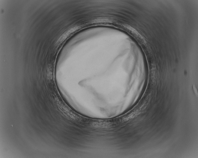 X0000086110929200704091414