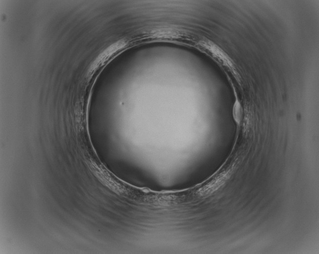 X0000086110930200704091414