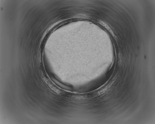 X0000086110931200704091414