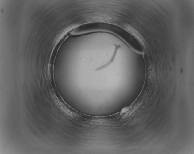 X0000086110932200704091414