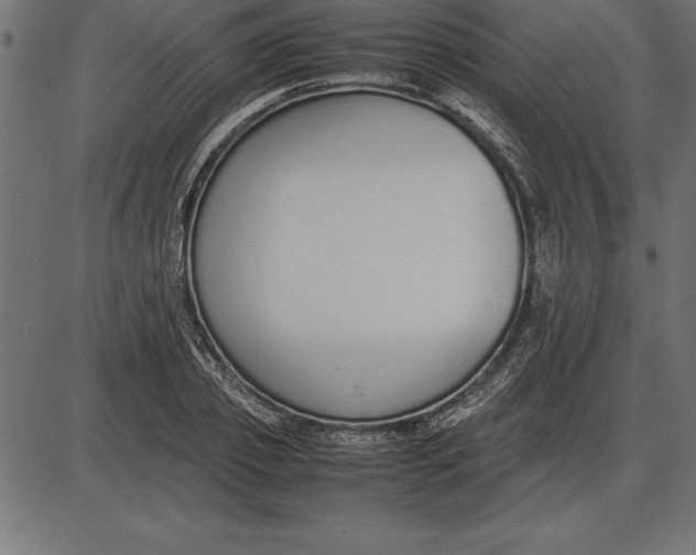 X0000086110933200704091414