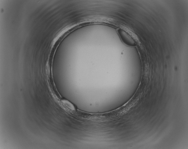 X0000086110936200704091414