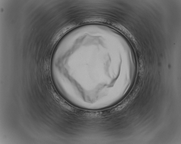 X0000086110937200704091414