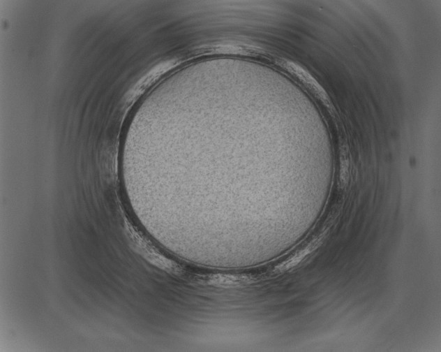 X0000086110938200704091415