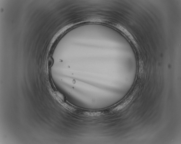 X0000086110939200704091415