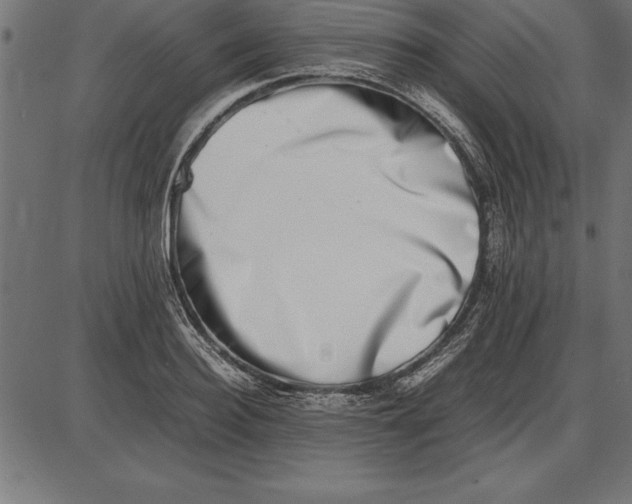 X0000086110940200704091415