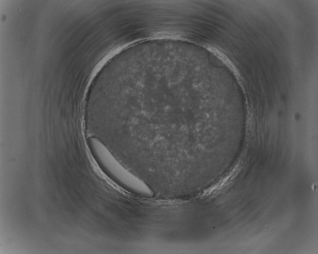 X0000086110941200704091415