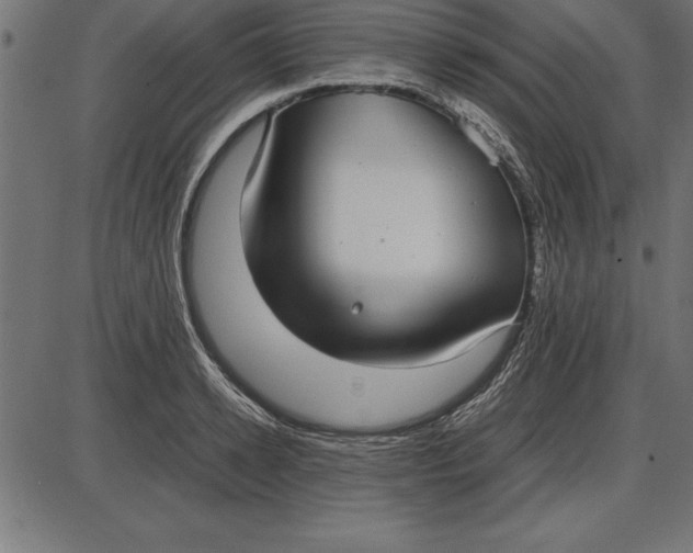 X0000086110942200704091415