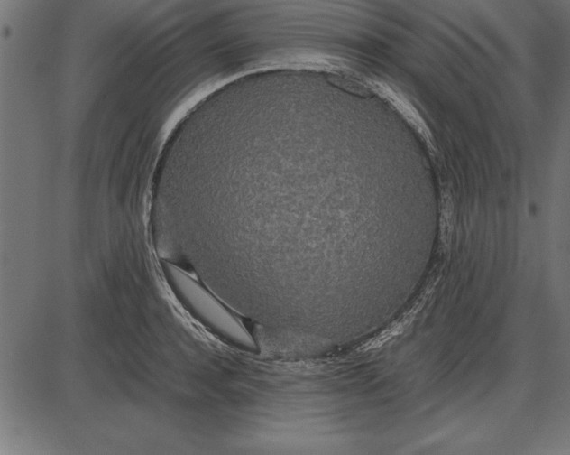 X0000086110944200704091415