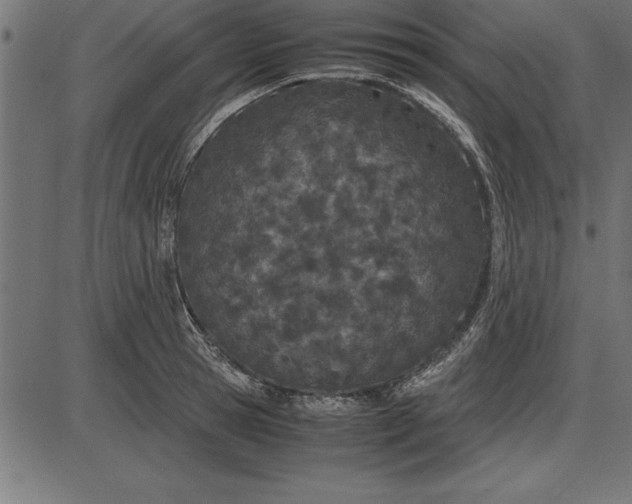 X0000086110945200704091415