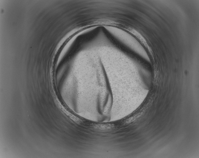 X0000086110947200704091415