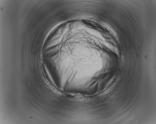 X0000086110948200704091415