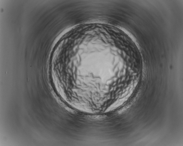 X0000086110949200704091415