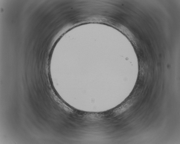 X0000086110950200704091415