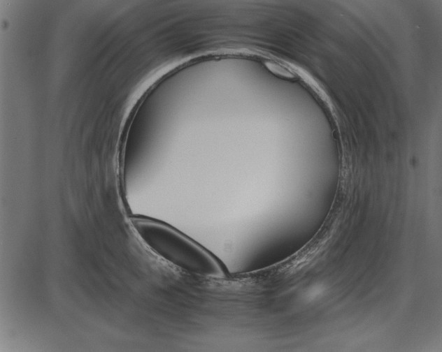 X0000086110951200704091415