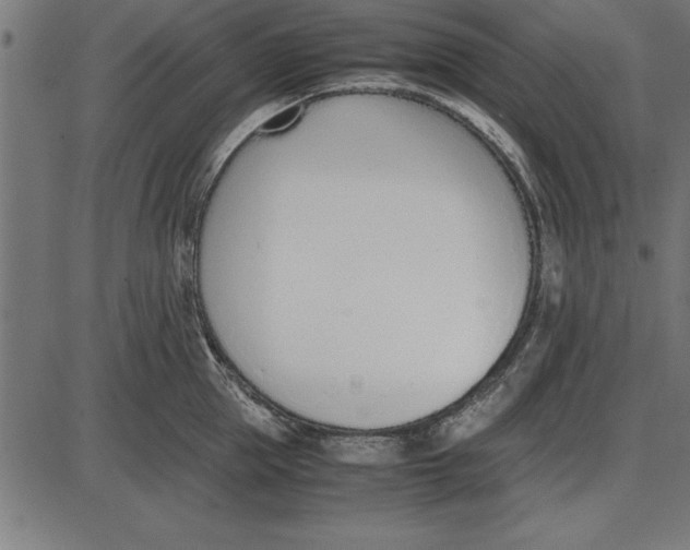 X0000086110953200704091415