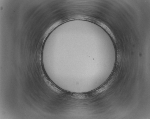 X0000086110954200704091415