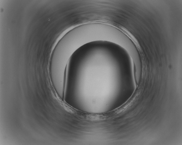 X0000086110956200704091415