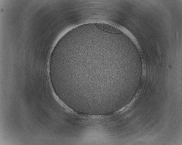 X0000086110958200704091415