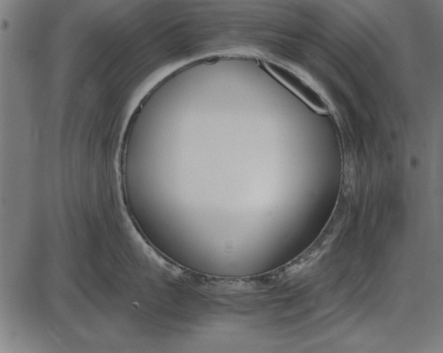 X0000086110959200704091415