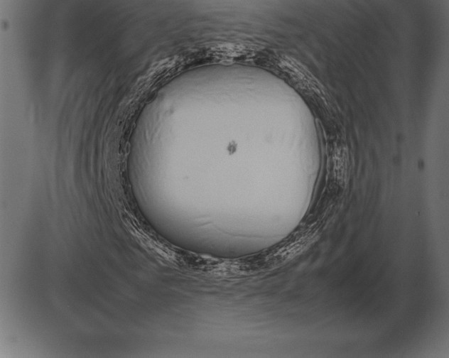 X0000086110961200704091414