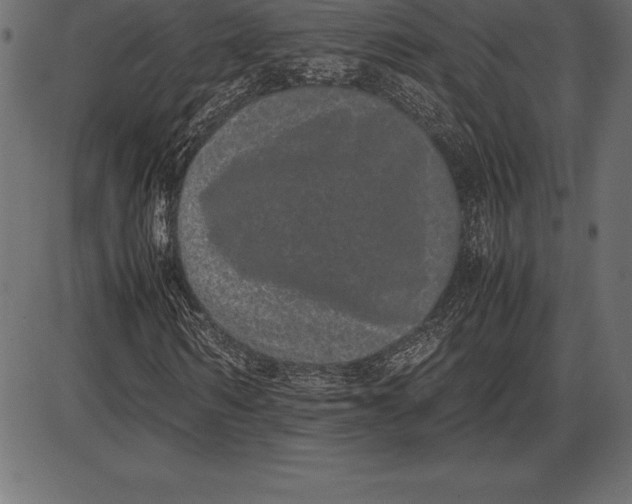 X0000086110962200704091414