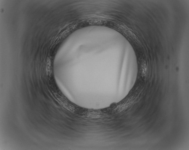 X0000086110964200704091414