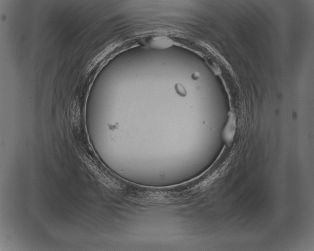 X0000086110969200704091414