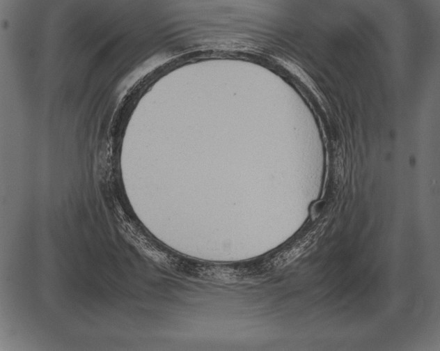 X0000086110971200704091414