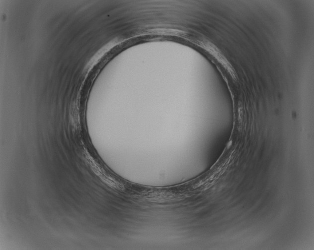 X0000086110972200704091414