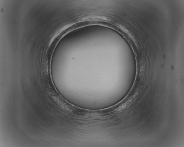 X0000086110973200704091414