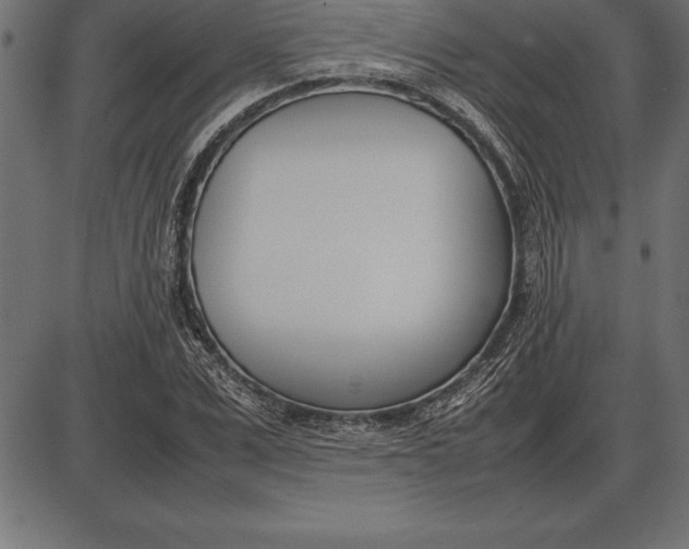 X0000086110975200704091414