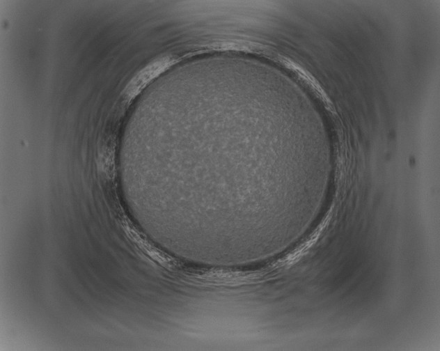 X0000086110977200704091414