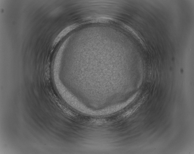 X0000086110978200704091414